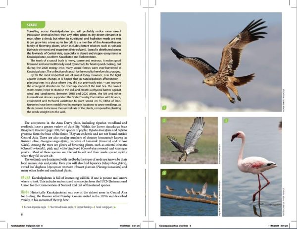 Travel Guide - Kyrgyzstan | Bradt Fashion - Image 3